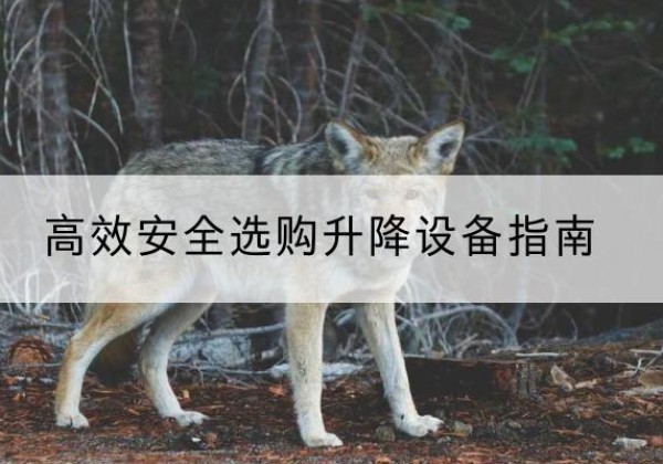 什邡升降货梯厂家推荐-*安全选购升降设备指南