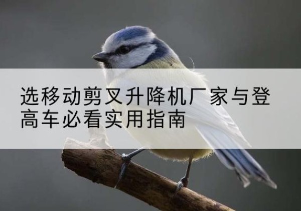 什邡电动升降机厂家-选移动剪叉升降机厂家与登高车必看实用指南