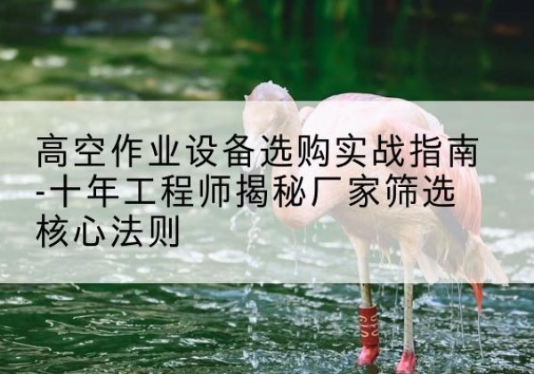 什邡剪叉式升降机厂家-高空作业设备选购实战指南-十年工程师揭秘厂家筛选核心法则