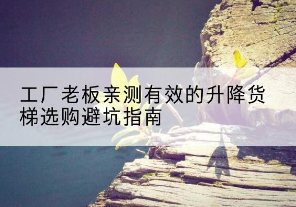 什邡升降货梯怎么选-工厂老板亲测有效的升降货梯选购避坑指南